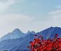 九游娱乐APP-包含嵩山鲸鲨队鏖战关中黑豹队，跆拳道大奖赛守住胜果，替补奇兵立功。保级形势悄然变化的词条