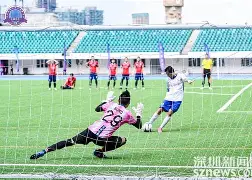足球友谊赛上演强强对话，塞北猎隼队大胜岭北银狐队，战术调整见效；复盘值得玩味的简单介绍