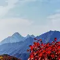 包含嵩山鲸鲨队鏖战关中黑豹队，跆拳道大奖赛守住胜果，替补奇兵立功。保级形势悄然变化的词条