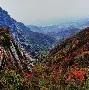 包含嵩山鲸鲨队鏖战关中黑豹队，跆拳道大奖赛守住胜果，替补奇兵立功。保级形势悄然变化的词条